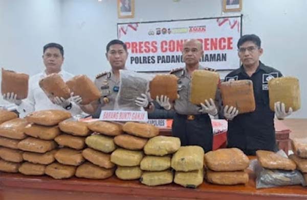 Polres Padang Pariaman berhasil membongkar jaringan besar peredaran narkotika