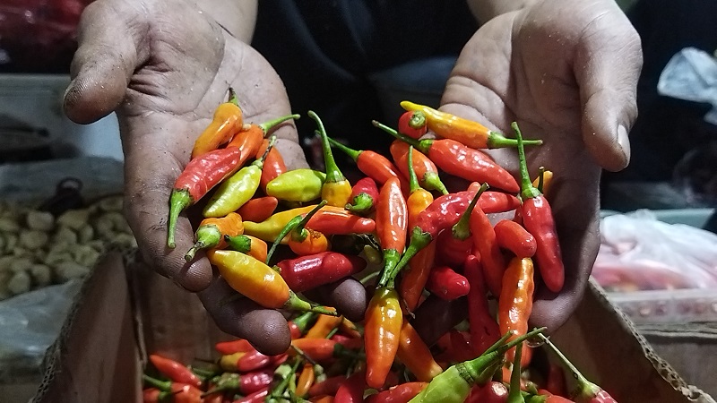 Harga Cabai Rawit Meroket Tembus Rp100.000 per Kg, Ternyata Ini Biang Keroknya.
