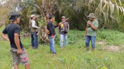 Tim BKSDA Sumbar turun ke lapangan memantau pergerakan beruang yang muncul di Dharmasraya.