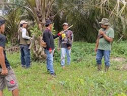 Beruang Masuk Kebun Sawit dan Semangka, Patroli Lapangan Dilakukan Demi Keselamatan Warga