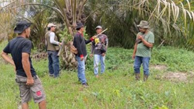 Tim BKSDA Sumbar turun ke lapangan memantau pergerakan beruang yang muncul di Dharmasraya.