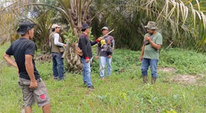 Tim BKSDA Sumbar turun ke lapangan memantau pergerakan beruang yang muncul di Dharmasraya.