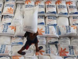 Bapanas Akan Dilebur ke Bulog, Status BUMN Segera Dihapus Lewat Revisi UU Pangan