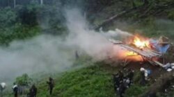 Polisi memusnahkan ratusan hektare ladang ganja di Kabupaten gayo Lues, Aceh.