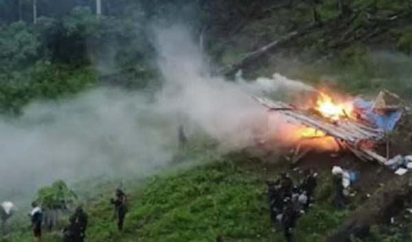 Polisi memusnahkan ratusan hektare ladang ganja di Kabupaten gayo Lues, Aceh.