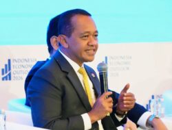 Larangan Ekspor Bahan Mentah Berlanjut, Timah Masuk Daftar Evaluasi Pemerintah