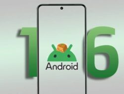 Distribusi Android Terbaru, Android 16 Belum Masuk Jajaran Teratas