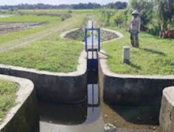 Sinergi Pusat–Daerah Hidupkan Irigasi Anai II, Ketahanan Pangan Pariaman Meningkat