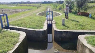 Jaringan Irigasi Anai II kembali aktif mengalirkan air ke lahan persawahan di Pariaman.