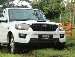 Industri Otomotif Nasional Terancam, Kadin Minta Impor Pikap Dibatalkan