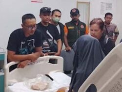 Kasus Gigitan Kobra di Sukoharjo, Korban Jalani Operasi Akibat Salah Penanganan