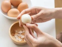 Telur Rebus Jadi Pilihan Sehat, Baik Dikonsumsi Sebelum Tidur