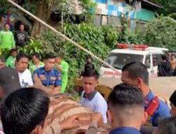 Damkar Selamatkan Korban Kecelakaan di Jalan Padang–Painan