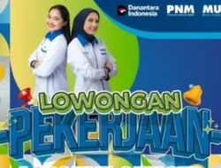 Lowongan Kerja Terbaru di PNM, Posisi Account Officer untuk Perempuan Usia 18–30 Tahun