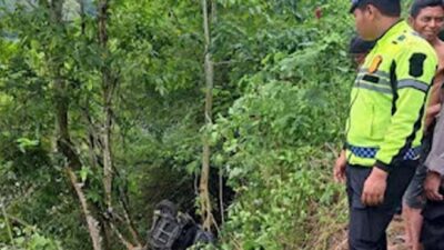 Minibus Avanza Terjun ke Jurang di Padang Ganting, Tiga Penumpang Luka-Luka