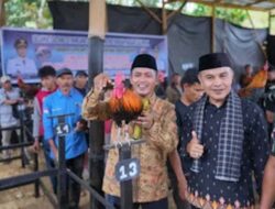 Tradisi dan Peluang Ekonomi di Ajang Ayam Kukuak Balenggek