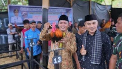 Bupati Jon Firman Pandu diacara Lomba Ayam Kukuak Balenggek.
