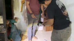 Simpan Ganja Kering, Seorang Pemuda di Muaro Paneh Solok Diciduk Polisi