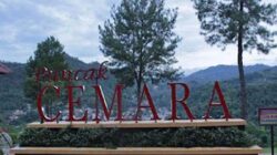 Wisata puncak cemara Sawahlunto