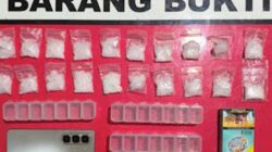 Polres Solok Tangkap Pria Asal Pekanbaru di Saok Laweh, 20 Paket Sabu Diamankan