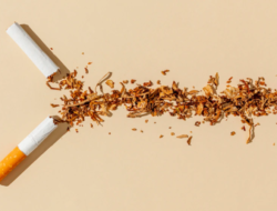 Asosiasi Rokok Soroti Usulan Batas Nikotin dan Tar yang Dinilai Terlalu Ketat