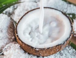 Selain Santan, Ini 8 Bahan yang Bisa Membuat Masakan Tetap Gurih dan Lezat