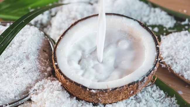 Ada banyak pengganti santan untuk makanan yang tak kalah gurih dan creamy.