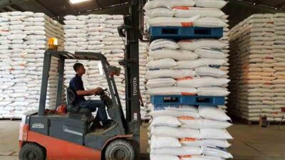 RI Tak Lagi Impor, Kini Bidik Pasar Ekspor Beras ke Timur Tengah dan Oseania