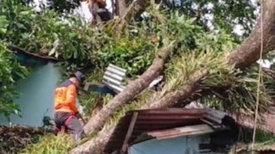 Hujan Deras dan Angin Kencang Porak-porandakan Purbalingga, Listrik di 9 Kecamatan Padam
