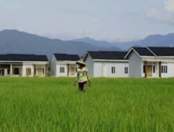 2,73 Juta Hektare Sawah di 12 Provinsi Akan Dilindungi dari Alih Fungsi