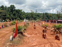 Ratusan Pembalap Ikuti Grasstrack Motocross Championship VII 2026 di Sirkuit Peridon Siap Maju Pasaman Barat