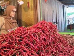 Harga Daging dan Ayam di Agam Turun Setelah Lebaran