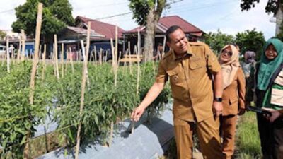 Wako Yota Balad melihat lahan kosong yang disulap jadi ladang cabe.