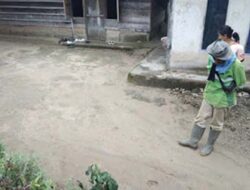 Puluhan Jejak Harimau Ditemukan, Warga Diminta Waspada