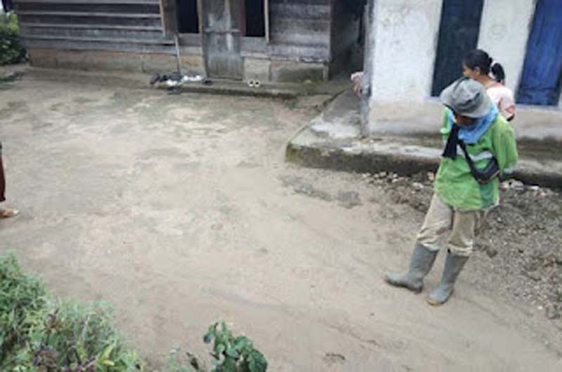 Puluhan Jejak Harimau Sumatera Muncul di Koto Sani