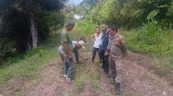 Tim BKSDA Sumbar turun ke lokasi usai ditemukan jejak harimau.