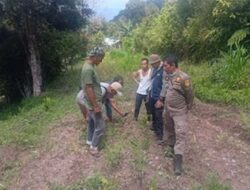 Tiga Anjing Warga Jadi Korban Dugaan Harimau di Solok