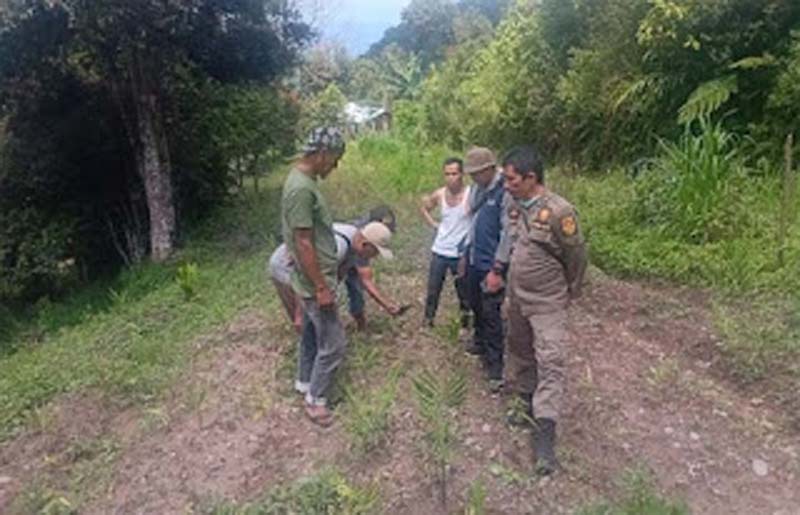 Tim BKSDA Sumbar turun ke lokasi usai ditemukan jejak harimau.