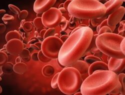 Hb di Bawah Normal Bisa Ganggu Tubuh, Ini Penjelasan Lengkapnya