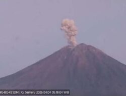 Erupsi Pagi Hari, Gunung Semeru Lontarkan Abu ke Arah Selatan