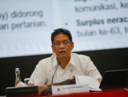 Pemerintah Bidik Pendapatan Tambahan dari Komoditas, Skema Royalti dan Bea Keluar Disiapkan