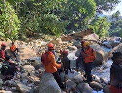 Masuk Hutan Sendirian, Perempuan 51 Tahun Belum Ditemukan