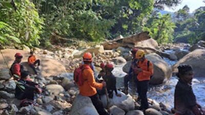 Masuk Hutan Sendirian, Perempuan 51 Tahun Belum Ditemukan