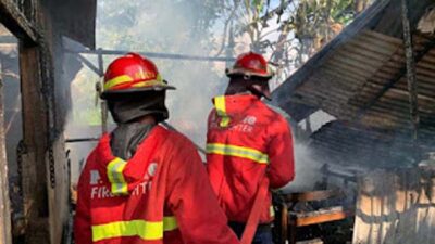 Kandang Sapi di Tengah Sawah Kuranji Terbakar, Damkar Padang Kerahkan 75 Personel.