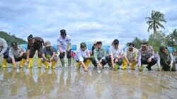 Pemerintah lakukan rehabilitasi sawah pascabencana.