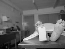 Jatuh ke Penampungan Air, 4 Pekerja Meninggal Dunia