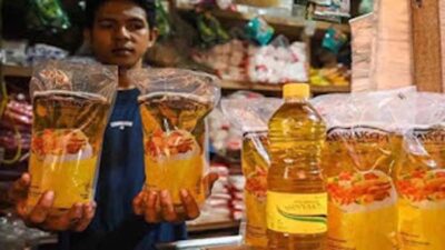 Realisasi DMO Capai 49,45 Persen, Lampaui Batas Minimal yang Ditetapkan Pemerintah