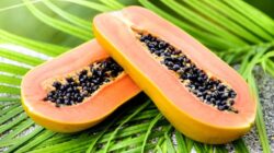 Pepaya jadi salah satu makanan yang bagus untuk kesehatan usus.