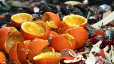 Kulit jeruk bisa dimanfaatkan untuk berkebun, mulai dari jadi pupuk kompos hingga pengusir hama.