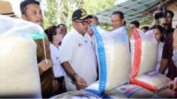 Wali Kota Pariaman Yota Balad, Wakil Gubernur DKI Jakarta Rano Karno dan Wagub Sumbar Vasko Ruseimy mengecek beras produk pertanian Pariaman.